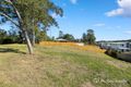Property photo of 44 Bunya Road Everton Hills QLD 4053