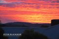 Property photo of 66 Woodhill Link Jerrabomberra NSW 2619