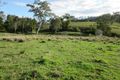Property photo of 1202 Gradys Creek Road Loadstone NSW 2474