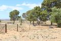 Property photo of 36 Phyllis Road Mount Templeton SA 5461