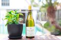 Property photo of 17 Hammond Avenue Croydon NSW 2132