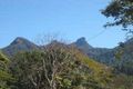 Property photo of 9 Marshall Street Uki NSW 2484
