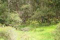 Property photo of 1060 Sheepwash Road Avoca NSW 2577