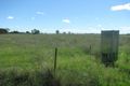 Property photo of 200 Old Backwater Road Narromine NSW 2821