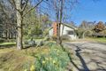 Property photo of 439 Belgrave-Gembrook Road Emerald VIC 3782