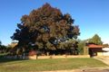 Property photo of 119 Creek Street Jindera NSW 2642
