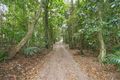 Property photo of 3362 Nerang Murwillumbah Road Natural Bridge QLD 4211