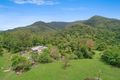 Property photo of 3362 Nerang Murwillumbah Road Natural Bridge QLD 4211
