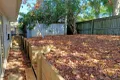 Property photo of 45 Gladewood Drive Daisy Hill QLD 4127