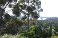 Property photo of 4 Hoya Place Catalina NSW 2536