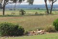 Property photo of 383 Rivers Road Canowindra NSW 2804