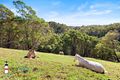 Property photo of 504 Punkalla Tilba Road Central Tilba NSW 2546