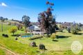 Property photo of 631 Wokolena Road Alfredtown NSW 2650