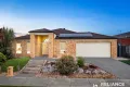 Property photo of 7 Millendon Boulevard Tarneit VIC 3029