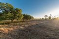 Property photo of 71 Moranino Road Myrtlevale QLD 4800