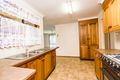 Property photo of 227 Paterson Road Bolwarra Heights NSW 2320