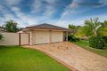 Property photo of 45 Dampier Crescent Drewvale QLD 4116