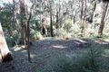 Property photo of 6 Karingal Drive Wye River VIC 3234