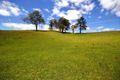 Property photo of 22 Coramba Road Coffs Harbour NSW 2450