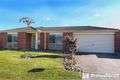 Property photo of 31 Bounty Way Berwick VIC 3806