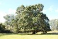 Property photo of 768 Upper Avon Road Craven NSW 2422