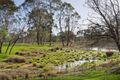 Property photo of 703 Pyrenees Highway Chewton VIC 3451