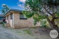 Property photo of 1/4 Veale Street Ashmont NSW 2650