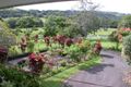 Property photo of 35 Hogans Road Bilambil NSW 2486