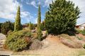 Property photo of 29 Maple Avenue Aberfoyle Park SA 5159