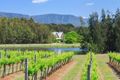 Property photo of 112 Halls Road Pokolbin NSW 2320