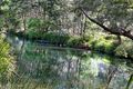 Property photo of 1003 Allyn River Road Allynbrook NSW 2311