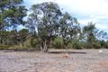 Property photo of 11 Blissett Drive Bedfordale WA 6112