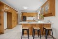 Property photo of 14 Windsor Avenue Bentleigh VIC 3204