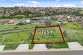 Property photo of 10 Duranta Drive Gowanbrae VIC 3043