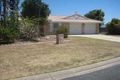 Property photo of 7 Michael Court Ooralea QLD 4740