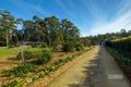 Property photo of 39 Palm Grove Place Moonee Beach NSW 2450