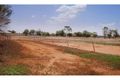 Property photo of 115 Jones Circuit Narromine NSW 2821