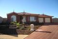 Property photo of 7 Pogona Court Roxby Downs SA 5725