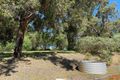 Property photo of 10 Walter Road Bridgetown WA 6255