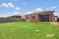 Property photo of 31 Bunting Crescent Kalkallo VIC 3064