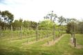 Property photo of 333 Myers Road Merricks North VIC 3926