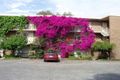 Property photo of 23/34-50 Neill Street Carlton VIC 3053