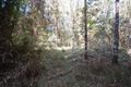 Property photo of 47 Kildeys Road Cootharaba QLD 4565