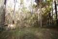 Property photo of 47 Kildeys Road Cootharaba QLD 4565