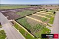 Property photo of 5 Diamond Drive Koo Wee Rup VIC 3981