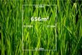 Property photo of 49 Roaming Road Doreen VIC 3754
