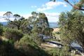 Property photo of 19 Woodcutters Road Tolmans Hill TAS 7007