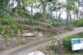Property photo of 31 Herbert Avenue Newport NSW 2106