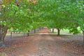 Property photo of 135 Sheoak Drive Hay WA 6333