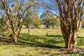 Property photo of 1871 Kerry Road Kerry QLD 4285